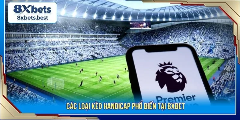 Kèo Handicap 8XBET: Hướng Dẫn Chơi Từ Cơ Bản Đến Chuẩn 2 Tổng hợp các loại kèo phổ biến tại 8XBET